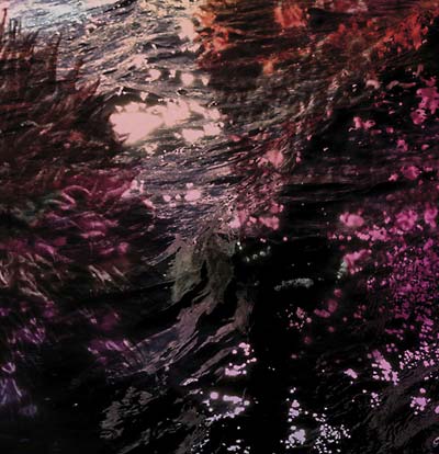 RICARDO TOBAR | Treillis - Vinyl