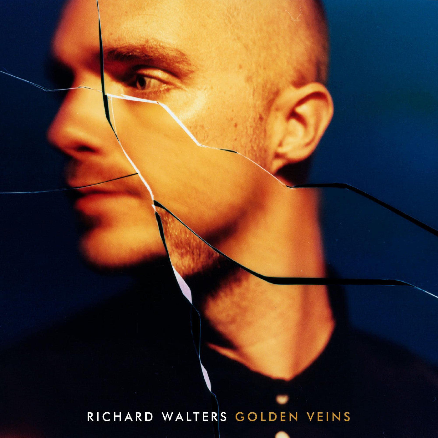 Richard Walters | Golden Veins - CD