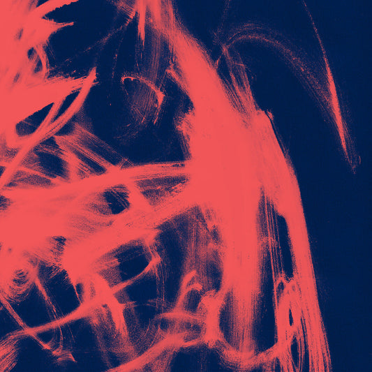 Rival Consoles | Landscape From Memory - Vinyl