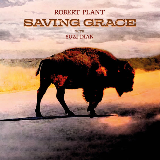 Robert Plant | Saving Grace (140G Black Vinyl) - Vinyl