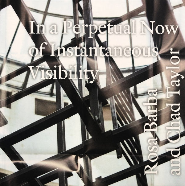 ROSA BARBA AND CHAD TAYLOR | In a Perpetual Now of Instantaneous Visibility - CD