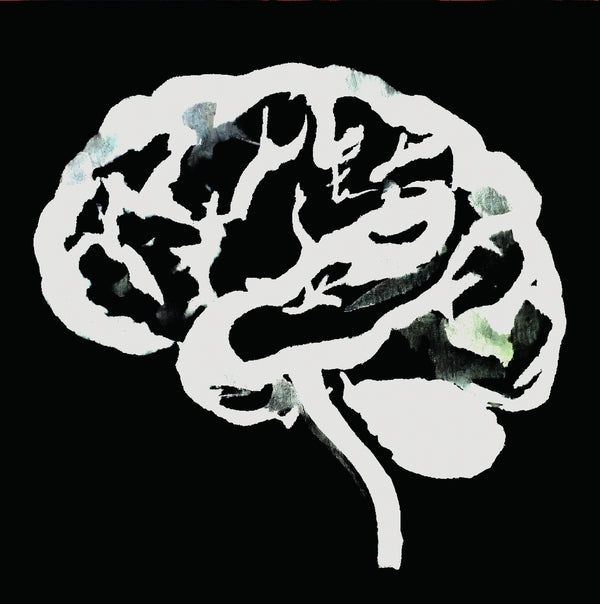 Ruins | Brain Flakes (The Lost Combo Tapes) - Vinyl