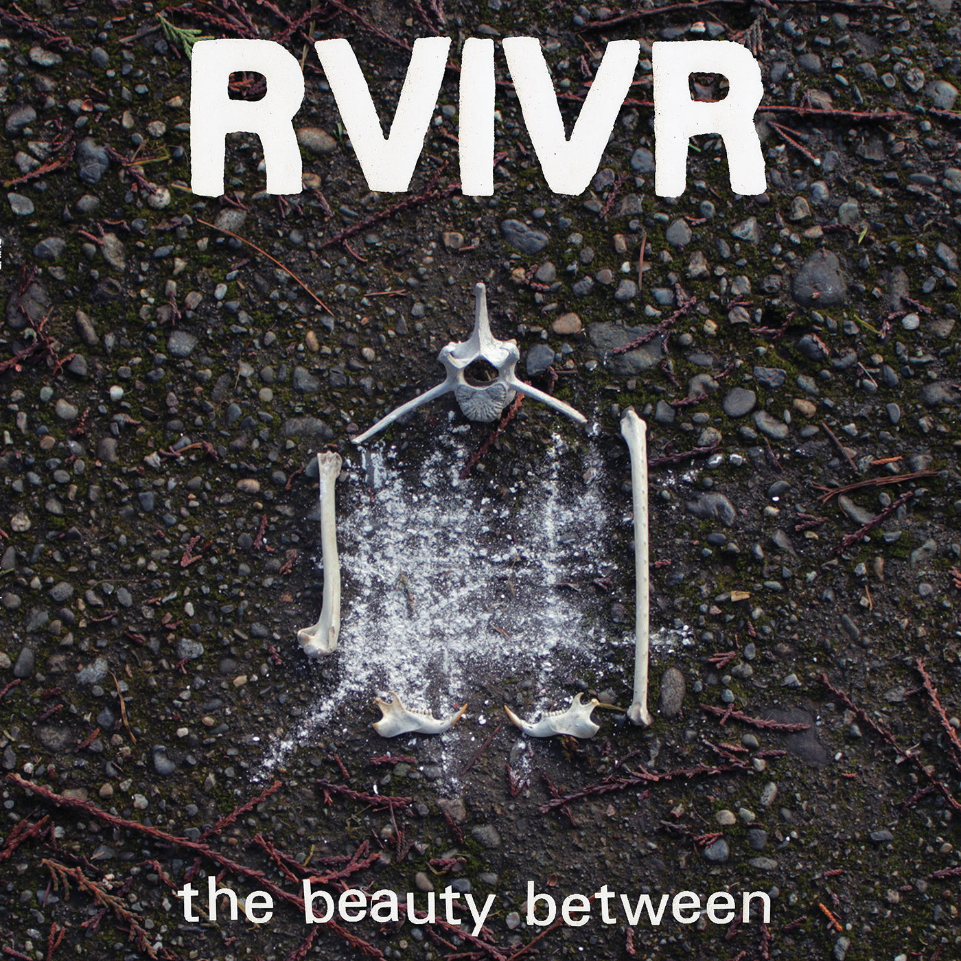 RVIVR | The Beauty Between [Black/Clear Vinyl] - Vinyl
