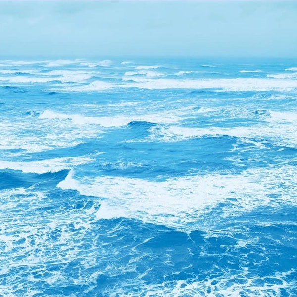 RYO FUKUI | A Letter from Slowboat - CD