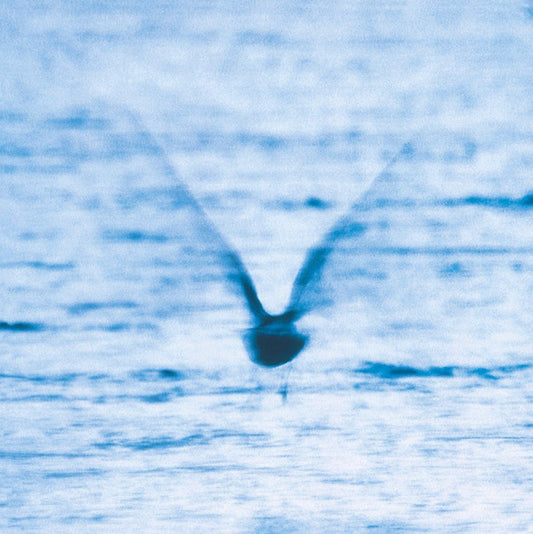 RYO FUKUI | Mellow Dream - CD