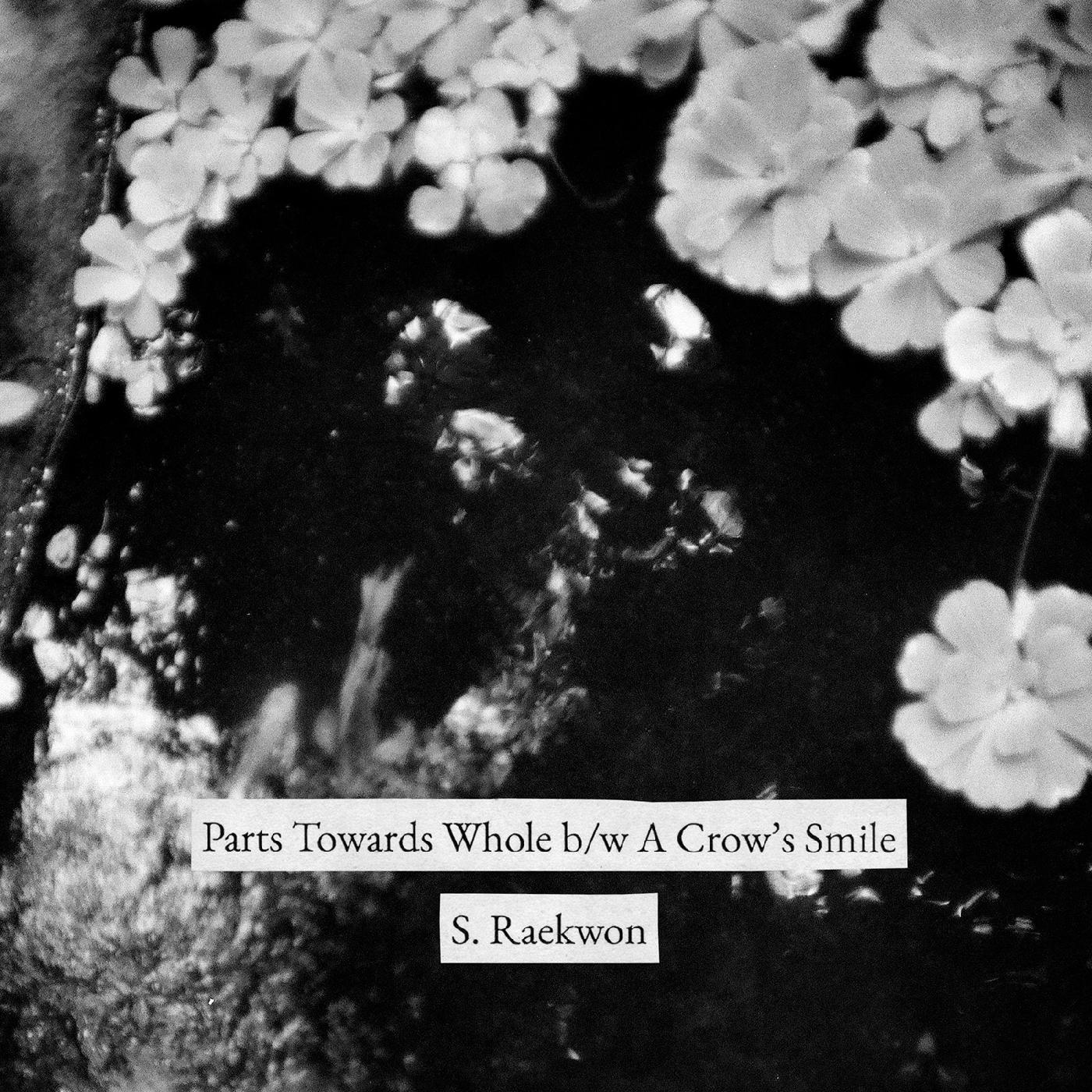 S. Raekwon | Parts Towards Whole b/w A Crow's Smile - Vinyl