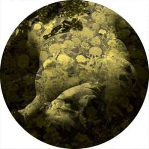 Salva | Yellobone - 12_x001A_ - Vinyl
