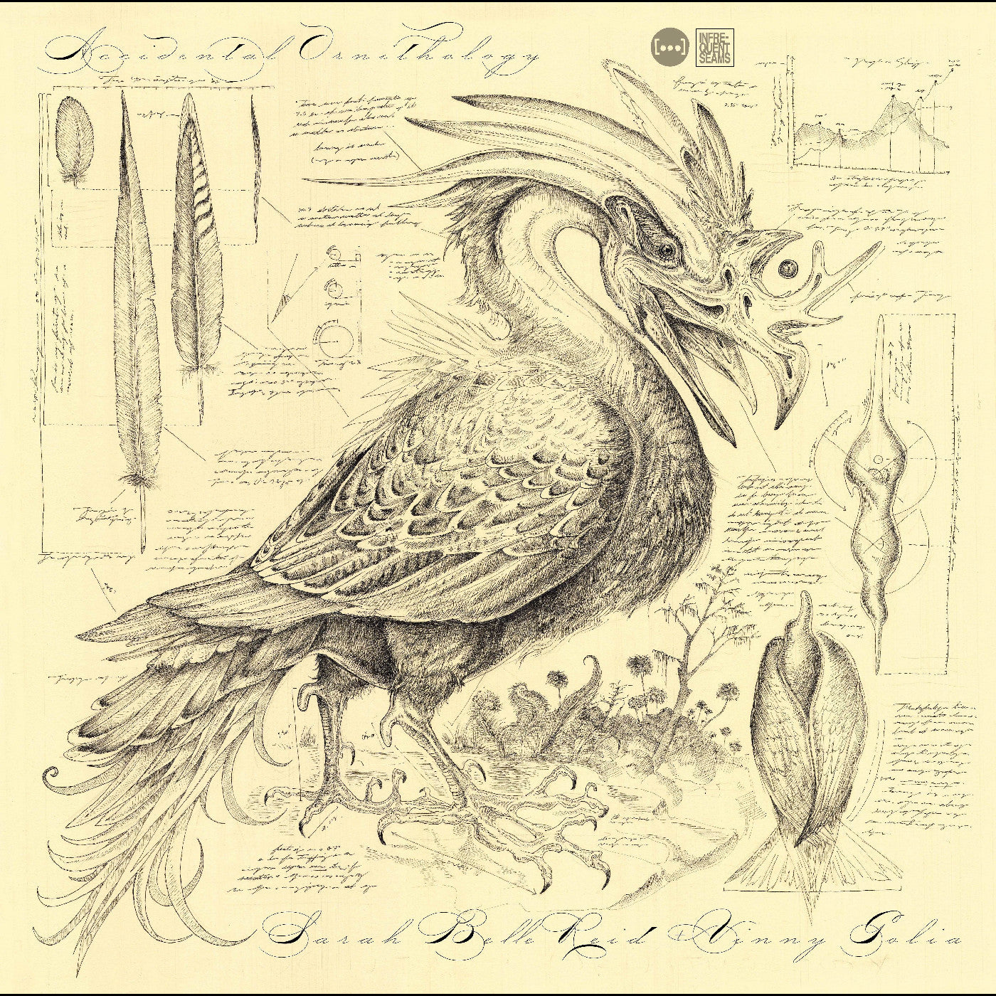 Sarah Belle & Golia Reid | Accidental Ornithology - CD