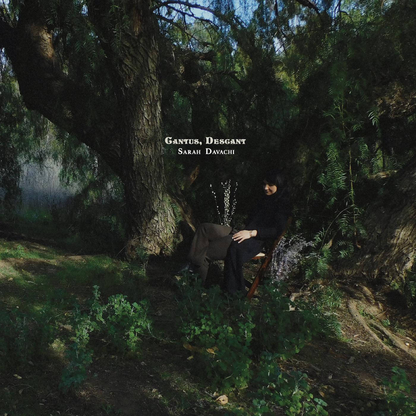 Sarah Davachi | Cantus, Descant - Vinyl