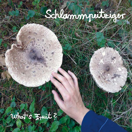 SCHLAMMPEITZIGER | What's Fruit? - CD