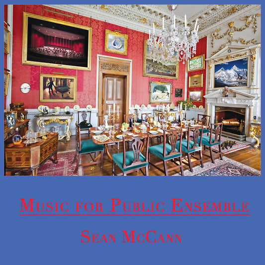 SEAN MCCANN | Music For Public Ensemble - Vinyl