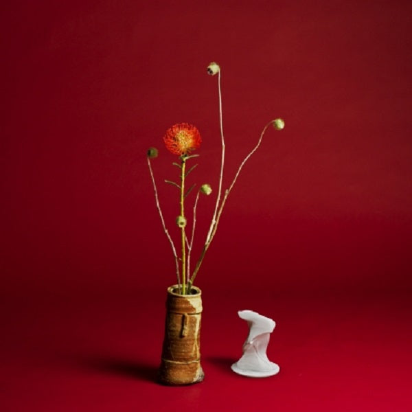 Seiho | Collapse - Vinyl