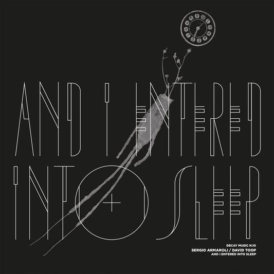 Sergio Armaroli & David Toop | Decay Music N.10: And I Entered Into Sleep [LP] - Vinyl