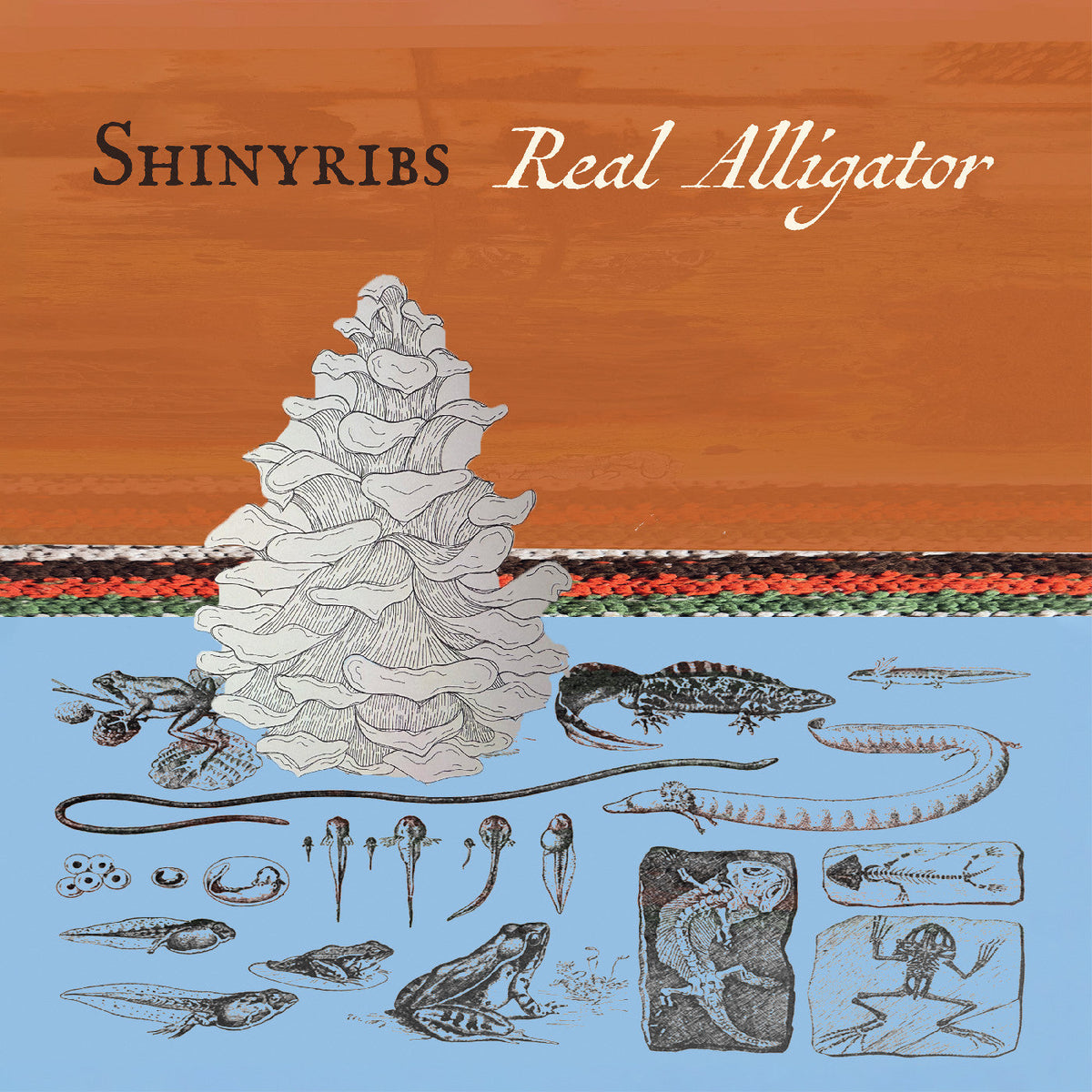 Shinyribs | Real Alligator - Vinyl