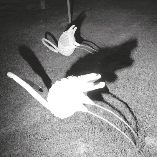 Siavash Amini | A Mimesis of Nothingness - Vinyl