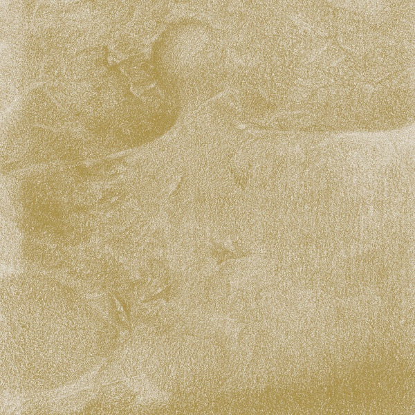 Siavash Amini | Eidolon - CD
