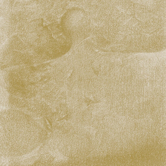 Siavash Amini | Eidolon - CD