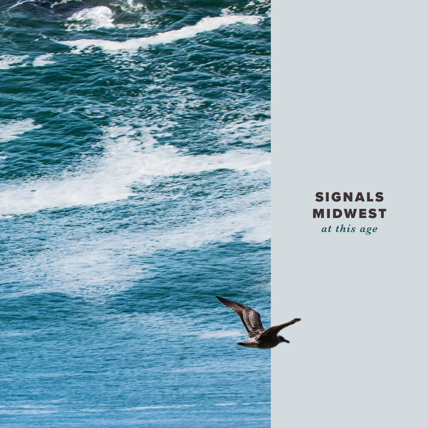 Signals Midwest | At This Age - CD