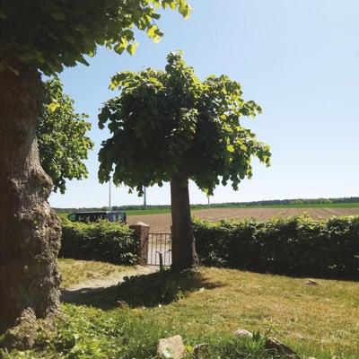 Sigtryggur Berg Sigmarsson | Into the Second Half - Vinyl