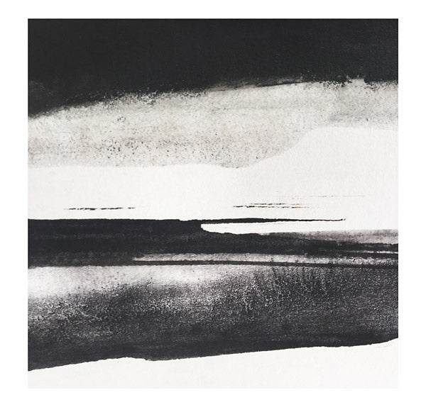 SILENT VIGILS | Fieldem - CD