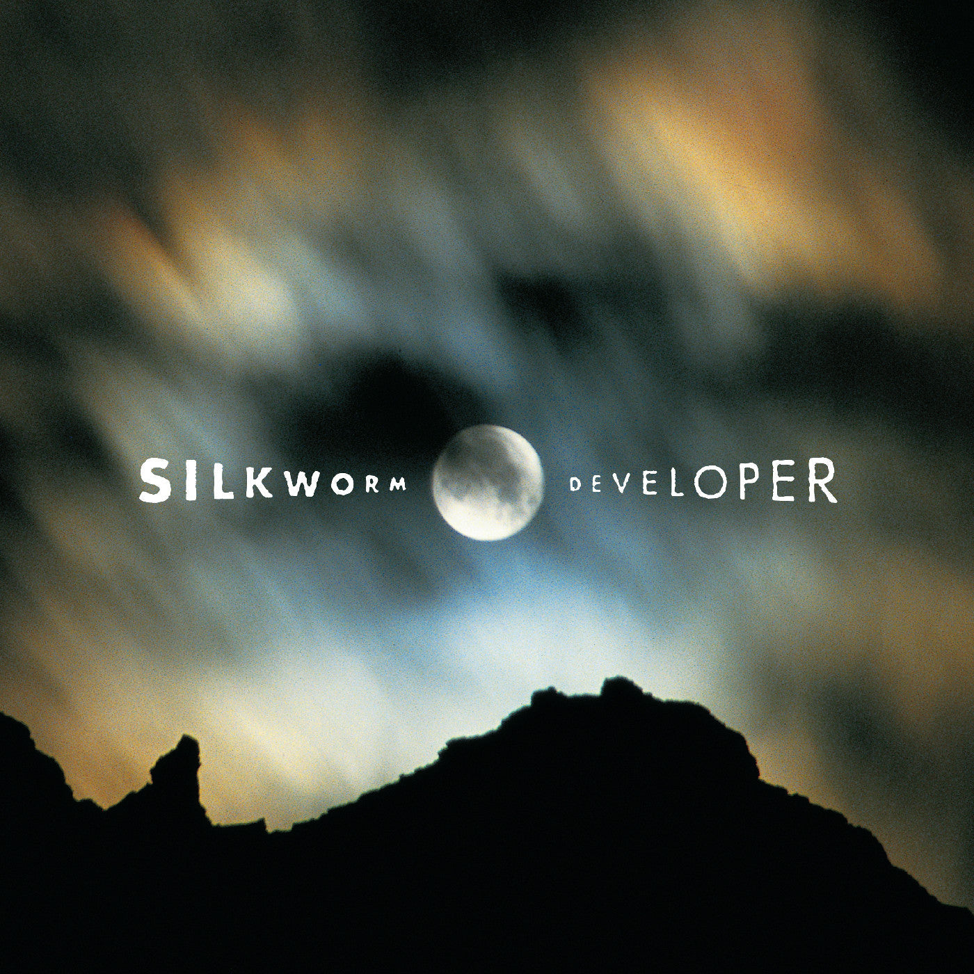 Silkworm | Developer (Deluxe Edition) - Vinyl