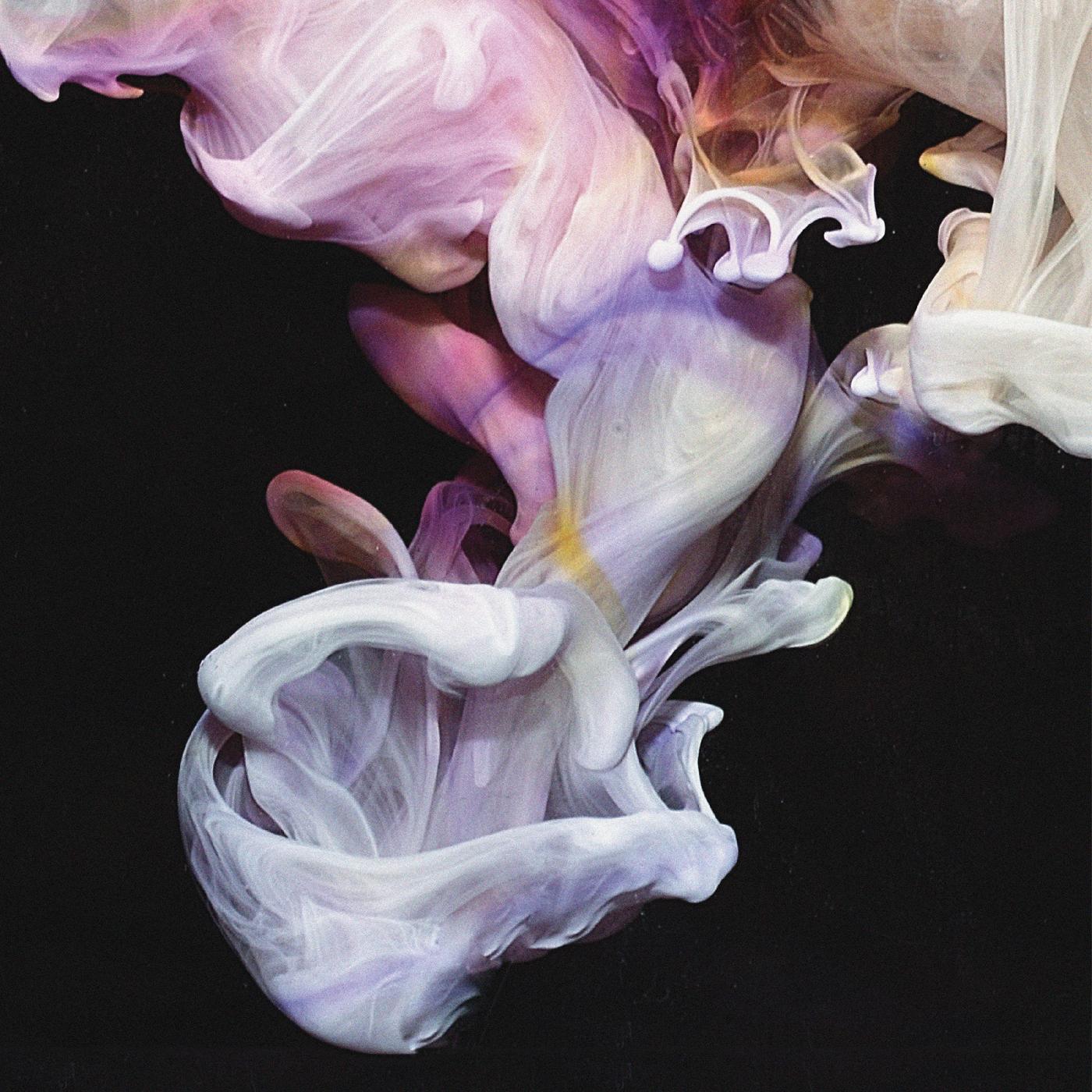 Simian Mobile Disco | Murmurations - Vinyl