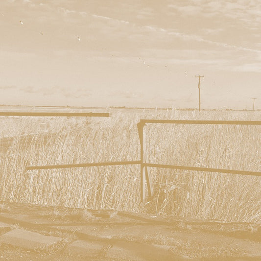 SIMON SCOTT | Long Drove - CD