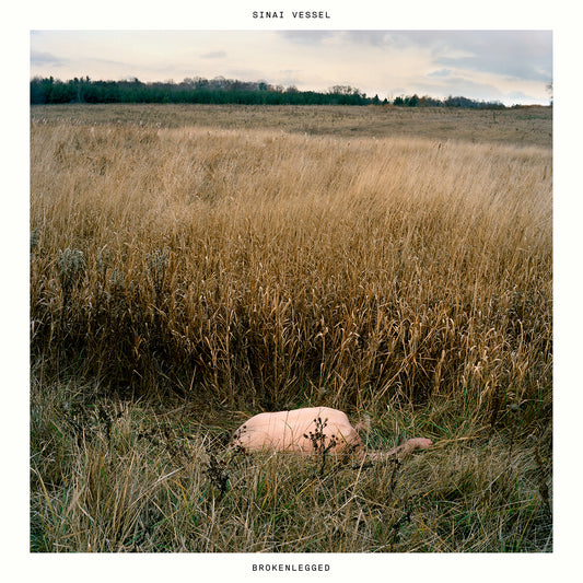 Sinai Vessel | Brokenlegged - CD