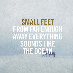 Small Feet | From Far Enough Away Everything Sounds Like The Ocean - CD