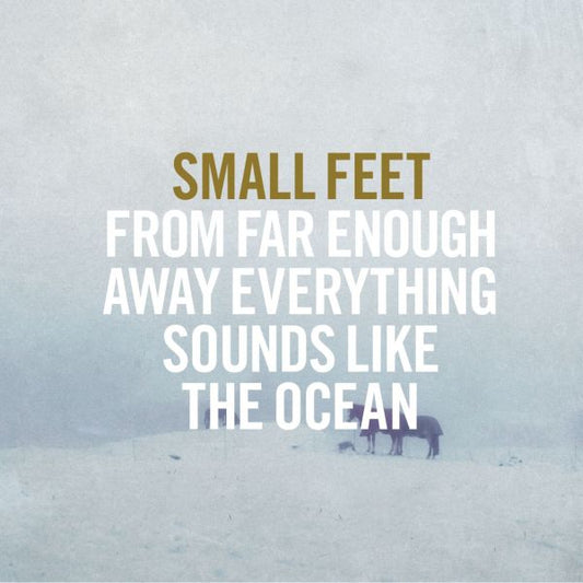 Small Feet | From Far Enough Away Everything Sounds Like The Ocean - Vinyl