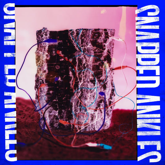 Snapped Ankles | Forest Of Your Problems (The Business Imp Edition) - Vinyl