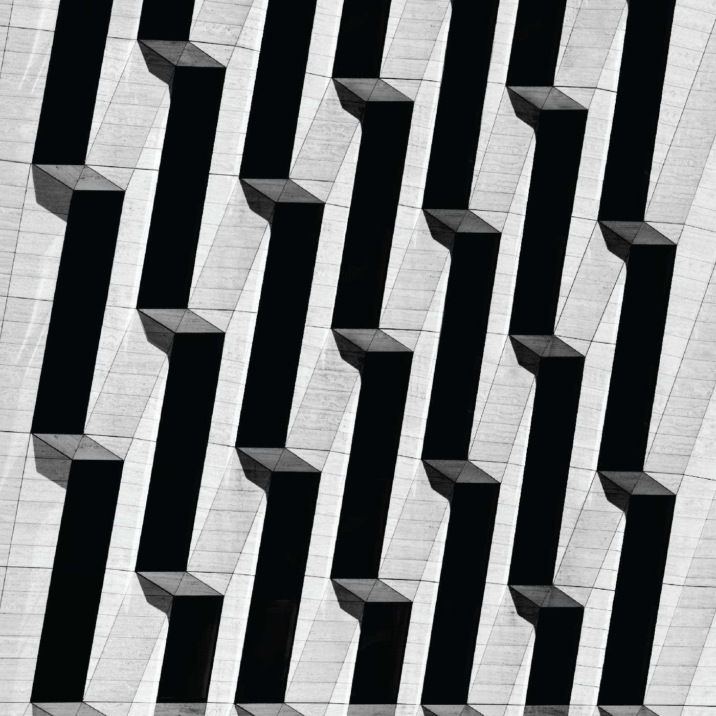 Snow Palms | Everything Ascending - Vinyl