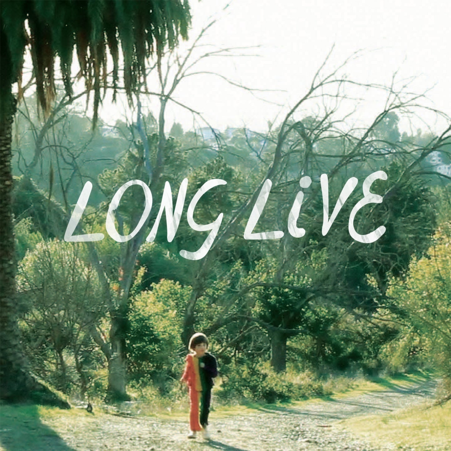 Snowblink | Long Live - CD