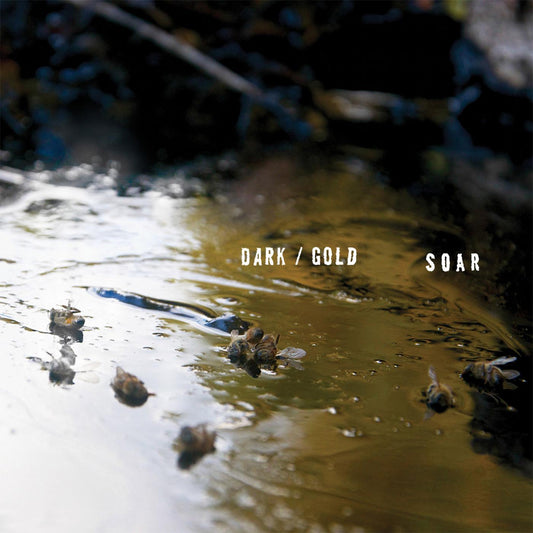 SOAR | dark / gold - Vinyl