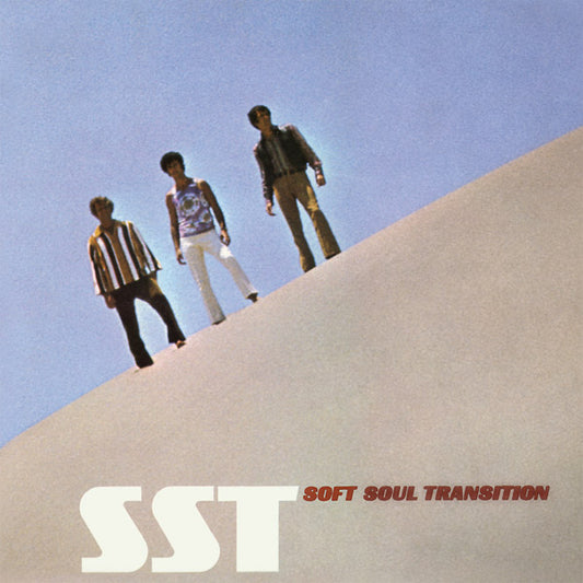 SOFT SOUL TRANSITION | SST - Vinyl
