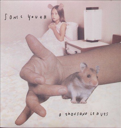 Sonic Youth | A Thousand Leaves (2 Lp's) - Vinyl
