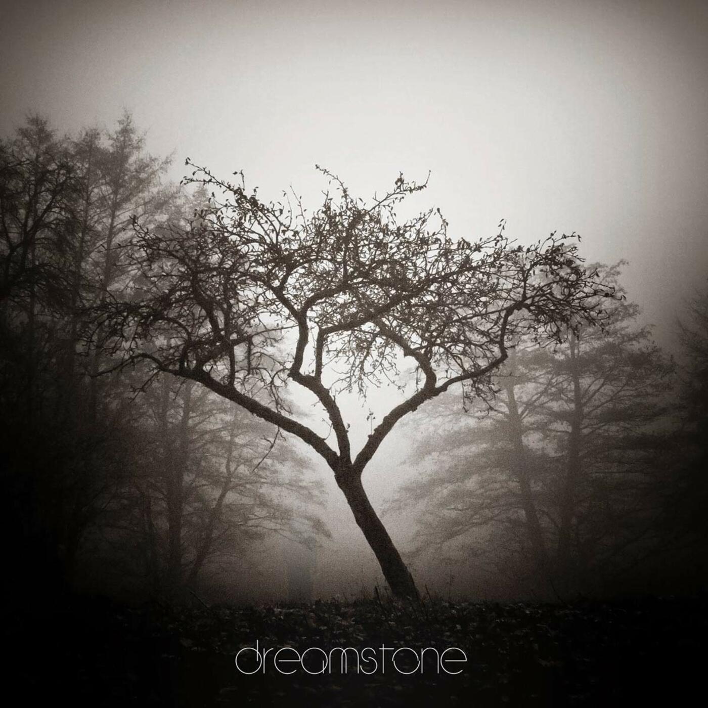 Sorrow | Dreamstone - CD