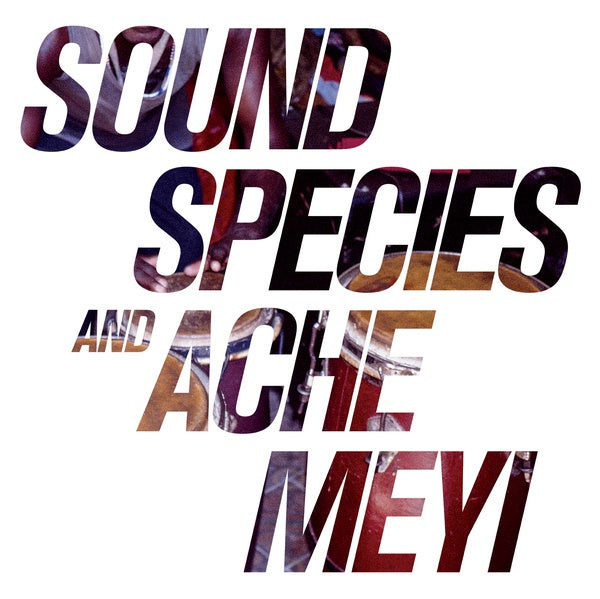 SOUNDSPECIES AND ACHE MEYI | Soundspecies And Ache Meyi - Vinyl