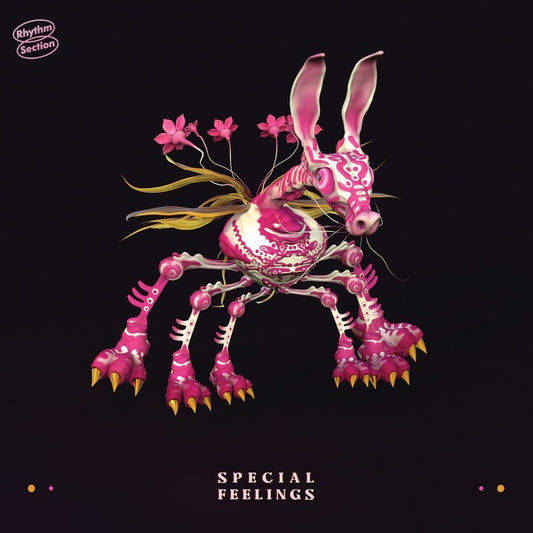 SPECIAL FEELINGS | Special Feelings - Vinyl