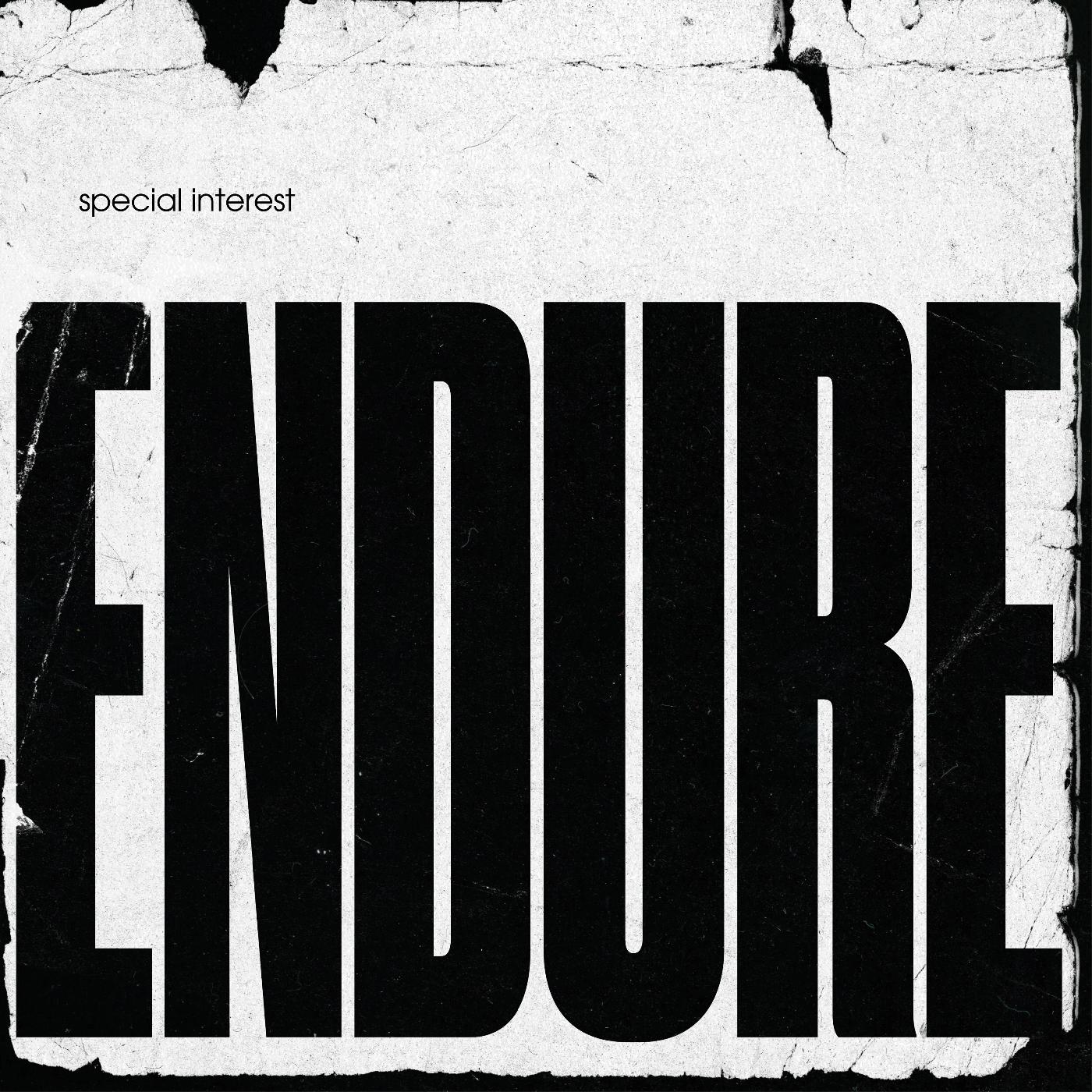 Special Interest | Endure - Vinyl