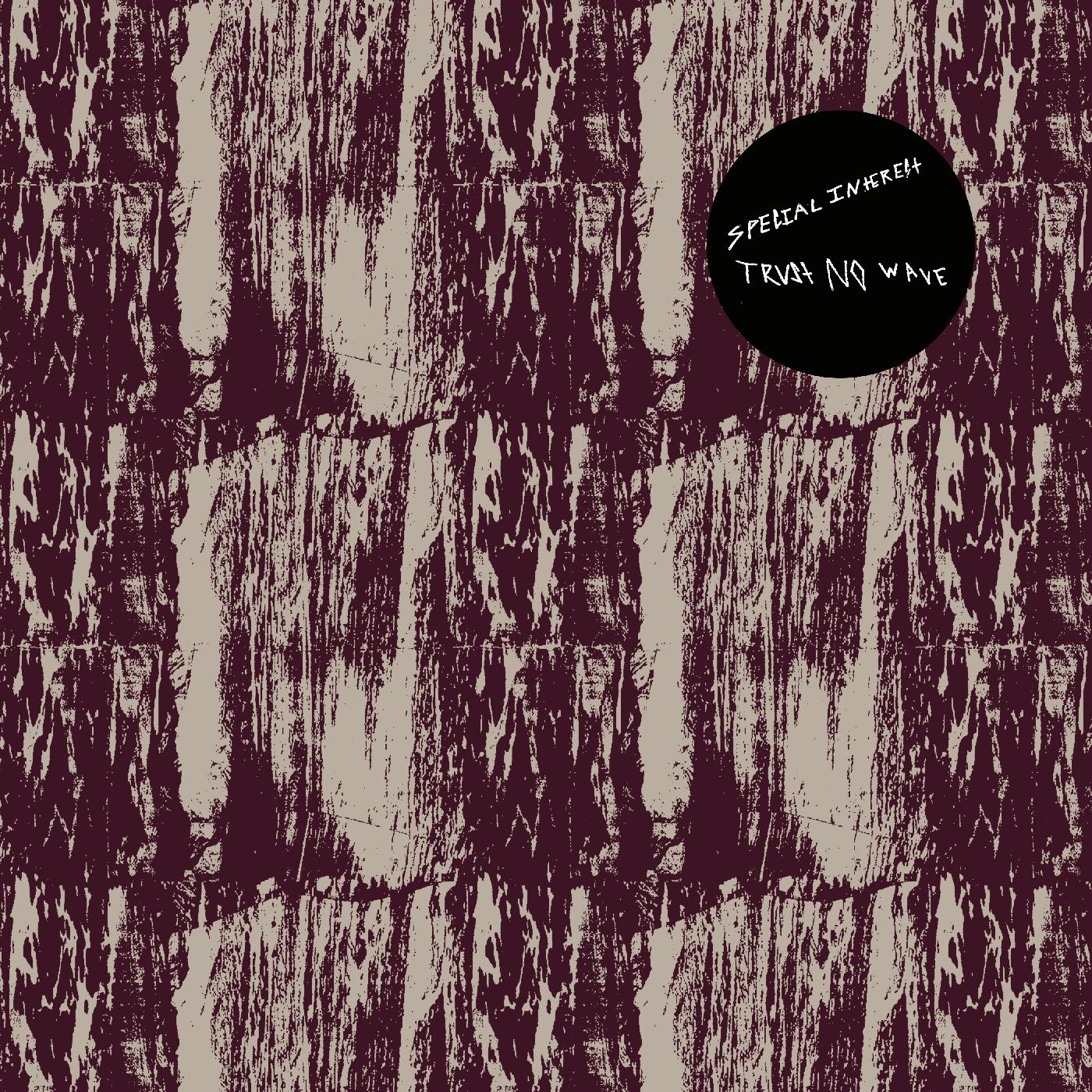 Special Interest | Trust No Wave - Vinyl