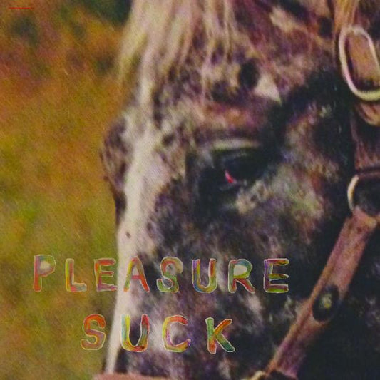 SPIRIT OF THE BEEHIVE | Pleasure Suck (TRANSPARENT ORANGE VINYL) - Vinyl