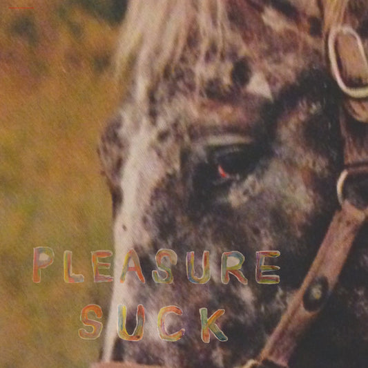 SPIRIT OF THE BEEHIVE | Pleasure Suck - CD