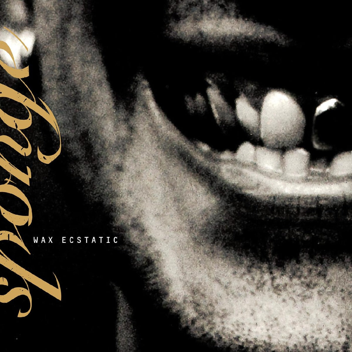 Sponge | Wax Ecstatic (Galaxy Beer Colored Vinyl) - Vinyl
