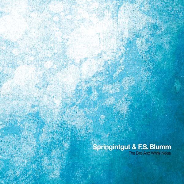 SPRINGINTGUT & F.S. BLUMM | The Bird and White Noise - Vinyl