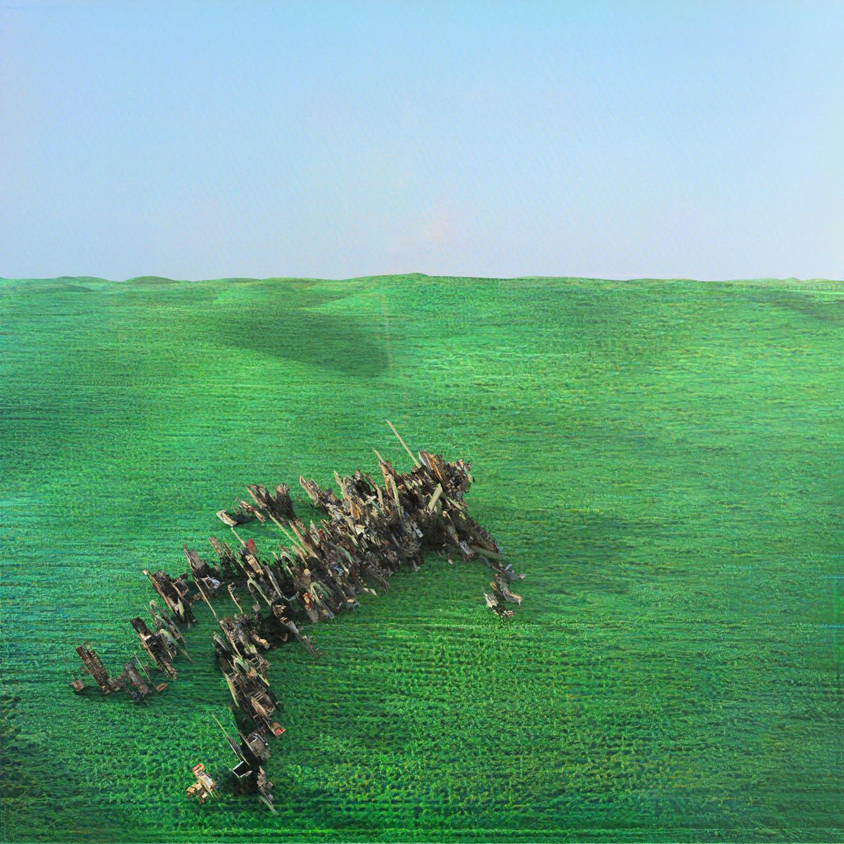 Squid | Bright Green Field - CD