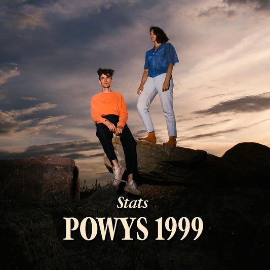 Stats | Powys 1999 (CRYSTAL VINYL) - Vinyl