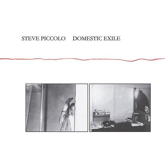 STEVE PICCOLO | Domestic Exile - CD