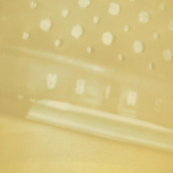 STEVE RODEN | The Radio/Airria (Hanging Garden)/Vein Stem Is Calm - CD