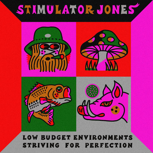 Stimulator Jones | Low Budget Environments Striving For Perfection - Vinyl